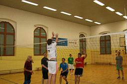 Sportgruppe Volleyball
